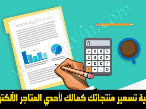 كيفية تسعير منتجاتك كمالك لأحدي المتاجر الإلكترونية